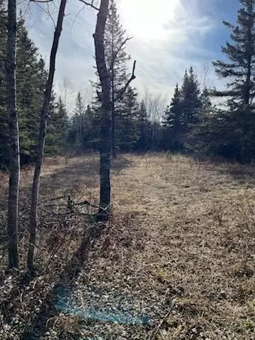 658 E County Rd W, Superior, WI 54880 photo 37