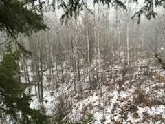658 E County Rd W, Superior, WI 54880 photo 9