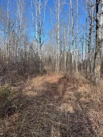 658 E County Rd W, Superior, WI 54880 photo 38
