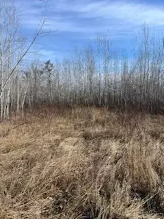 658 E County Rd W, Superior, WI 54880 photo 28