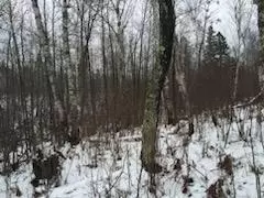 658 E County Rd W, Superior, WI 54880 photo 8