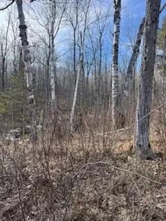 658 E County Rd W, Superior, WI 54880 photo 34