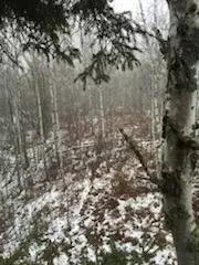 658 E County Rd W, Superior, WI 54880 photo 12