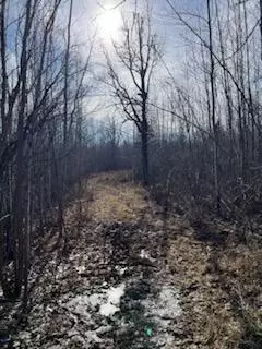 658 E County Rd W, Superior, WI 54880 photo 30