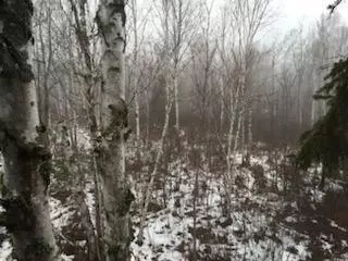 658 E County Rd W, Superior, WI 54880 photo 10