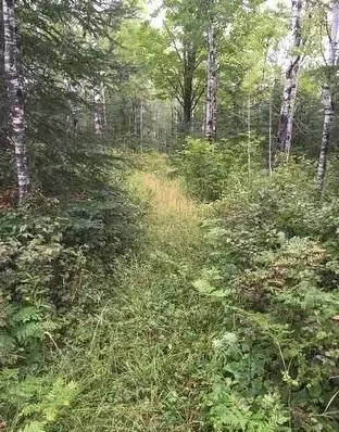658 E County Rd W, Superior, WI 54880 photo 5