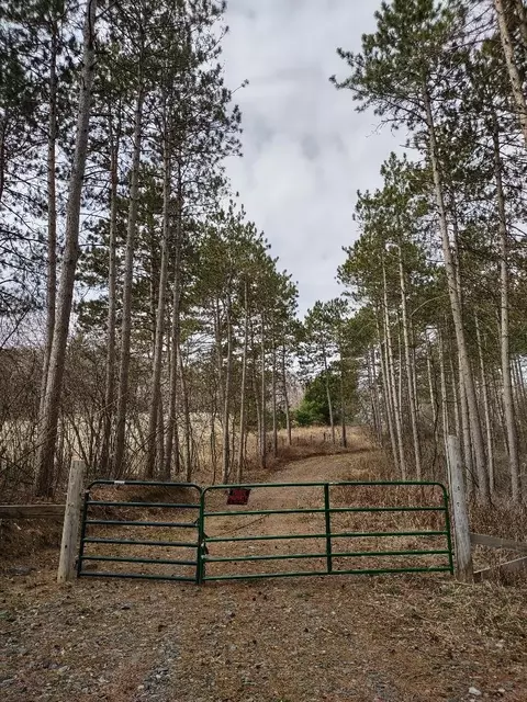 Nnn Haldeman Drive, Black River Falls, WI 54615