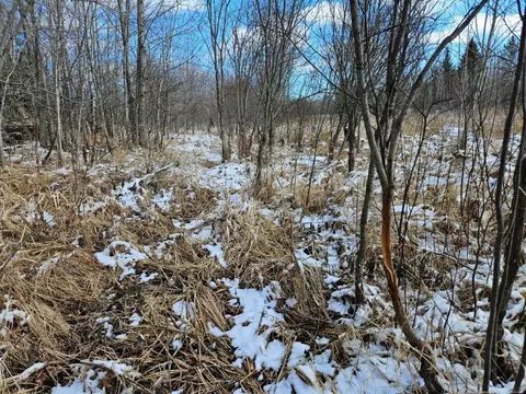 tbd 240th St, Shevlin, MN 56676 photo 9