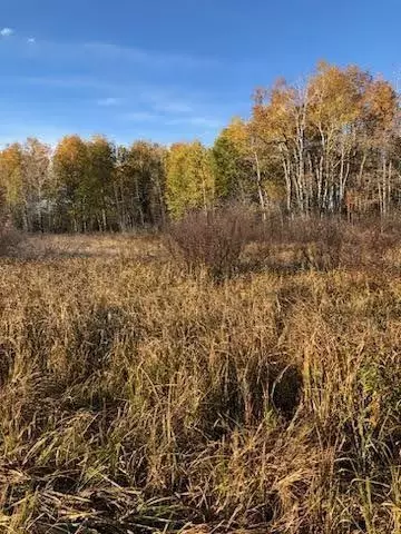35618 560th St, Palisade, MN 56469