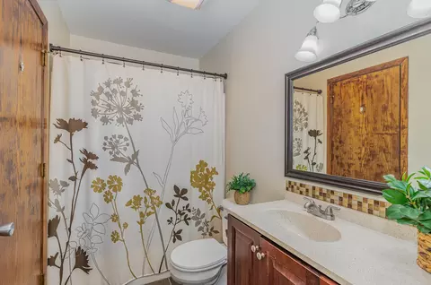 12009 Nevada Ct, Champlin, MN 55316 photo 13