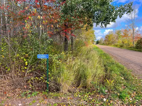 65895 Wolf Creek Rd, Bruno, MN 55712