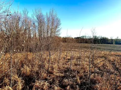 tbd Parcel 4 160th St, Clitherall, MN 56524
