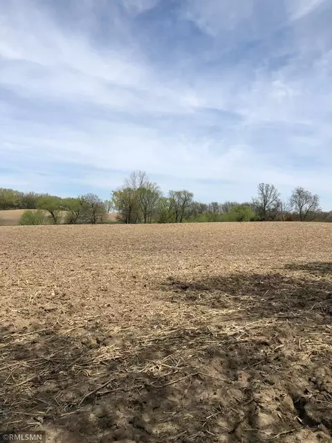 29248 Isle Ave, Greenvale Twp, MN 55057
