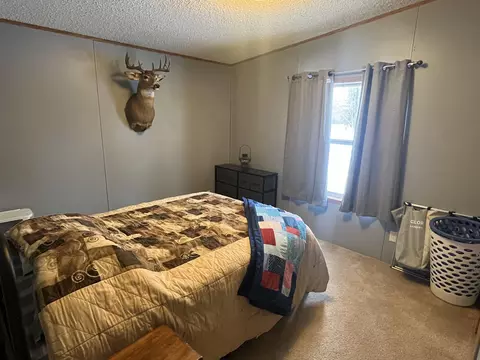 209 3rd Ave E, Gary, MN 56545 photo 12