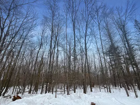 201 Birch Haven Rd, Shell Lake, WI 54871 photo 4