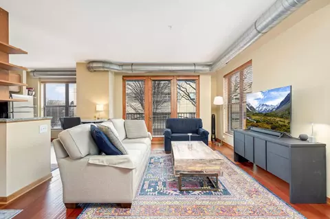15 E Franklin Ave #232, Minneapolis, MN 55404