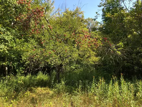 5403 110th St, Milaca, MN 56353 photo 71