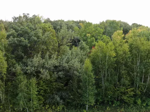 5403 110th St, Milaca, MN 56353 photo 79