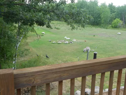 5403 110th St, Milaca, MN 56353 photo 34