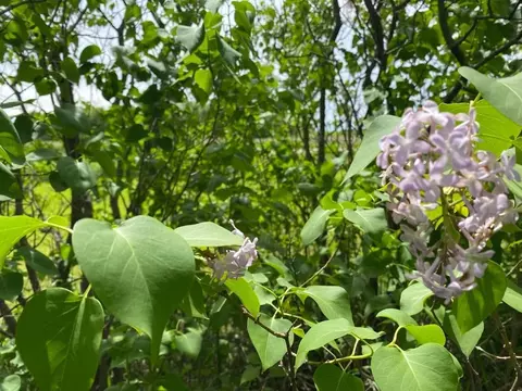 Other - 29028 80th Ave N, Hitterdal, MN 56552 photo 24 of 43