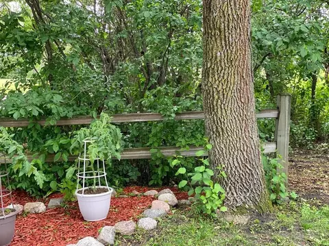 Other - 29028 80th Ave N, Hitterdal, MN 56552 photo 22 of 43