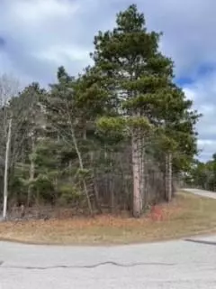 Nnnnn County Rd 24, Wabasha, MN 55981