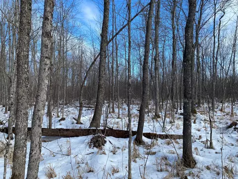 tbd Rasmussen Rd, Wright, MN 55798 photo 30