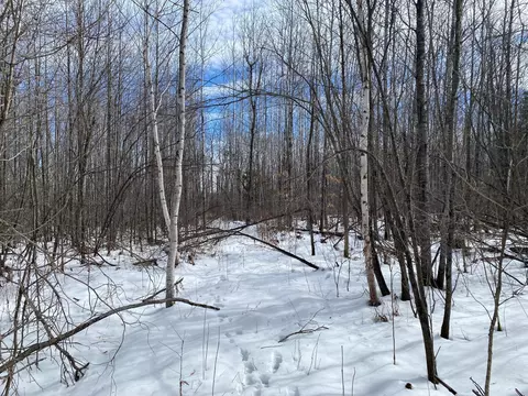 tbd Rasmussen Rd, Wright, MN 55798 photo 53