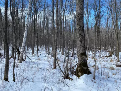 tbd Rasmussen Rd, Wright, MN 55798 photo 33