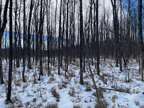 tbd Rasmussen Rd, Wright, MN 55798 photo 37