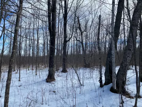 tbd Rasmussen Rd, Wright, MN 55798 photo 34