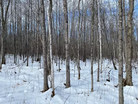 tbd Rasmussen Rd, Wright, MN 55798 photo 49