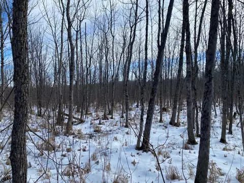 tbd Rasmussen Rd, Wright, MN 55798 photo 36