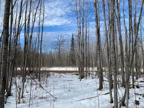 tbd Rasmussen Rd, Wright, MN 55798 photo 10
