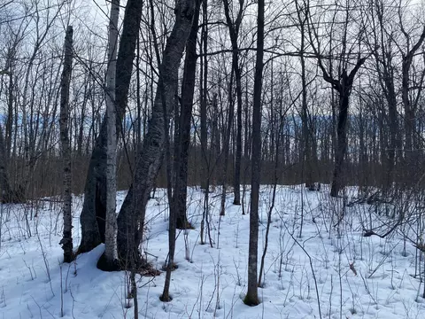tbd Rasmussen Rd, Wright, MN 55798 photo 32