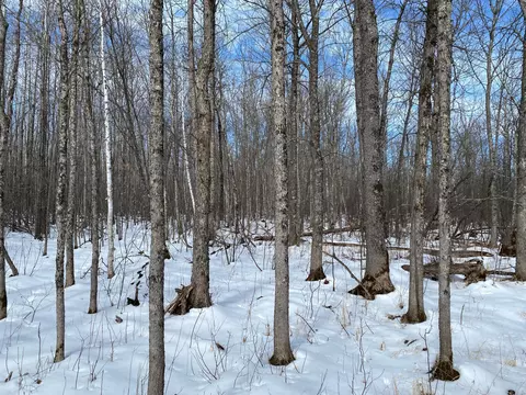 tbd Rasmussen Rd, Wright, MN 55798 photo 48