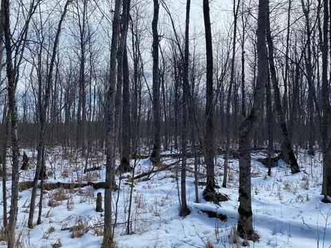 tbd Rasmussen Rd, Wright, MN 55798 photo 31