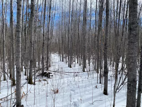 tbd Rasmussen Rd, Wright, MN 55798 photo 54