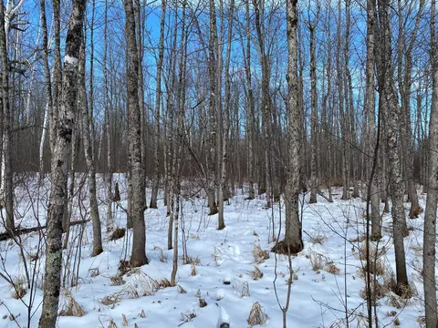 tbd Rasmussen Rd, Wright, MN 55798 photo 38