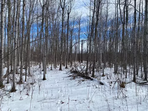 tbd Rasmussen Rd, Wright, MN 55798 photo 13