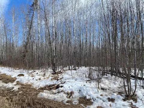 tbd Rasmussen Rd, Wright, MN 55798 photo 55
