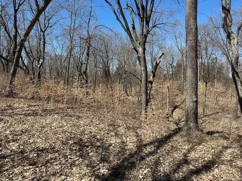 4632 County Road 19, Medina, MN 55357 photo 35