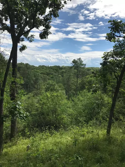 Nnn Tanglewood Lane, Marine On Saint Croix, MN 55047