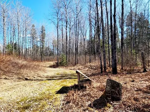 View/Area - 27256 Cr-52, Bigfork, MN 56628 photo 3 of 5