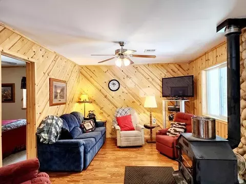 Living - 27256 Cr-52, Bigfork, MN 56628 photo 4 of 5
