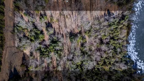Lot 4 W Horseshoe Lake Road, Bigfork, MN 56628