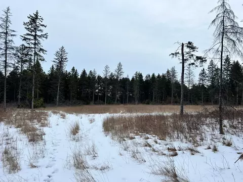 tbd Cattle Dr, Park Rapids, MN 56470 photo 5