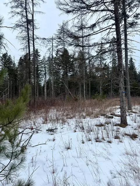 tbd Cattle Dr, Park Rapids, MN 56470 photo 6