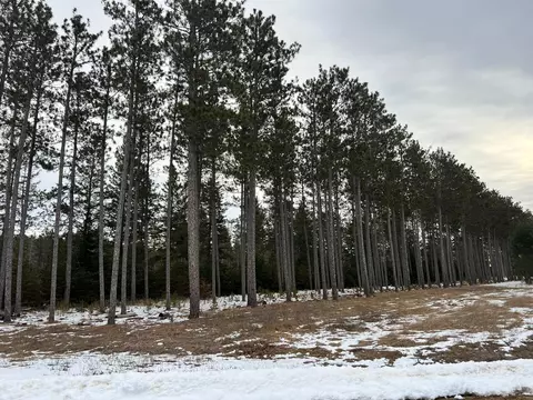 tbd Cattle Dr, Park Rapids, MN 56470