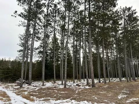 tbd Cattle Dr, Park Rapids, MN 56470 photo 2